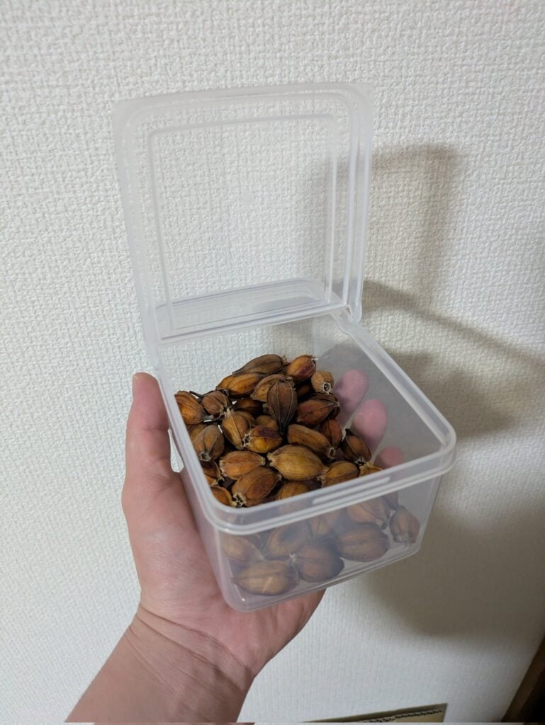 100均で密閉容器を探してみた