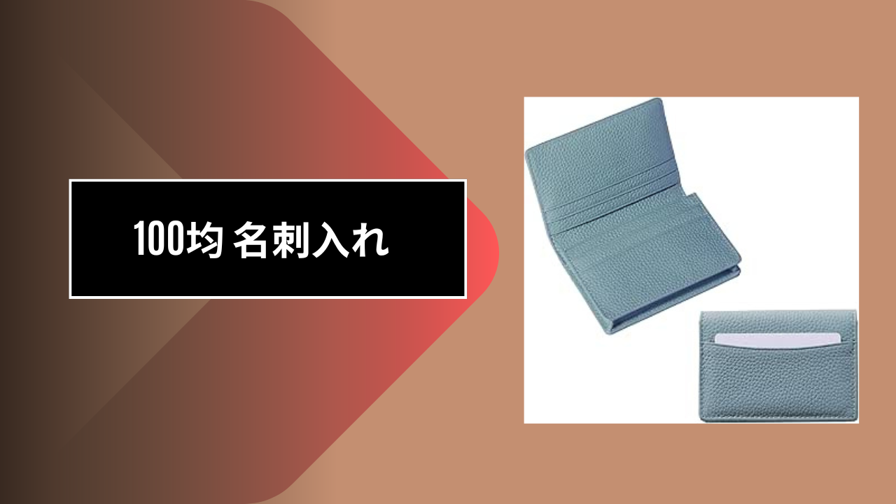 100均 名刺入れ