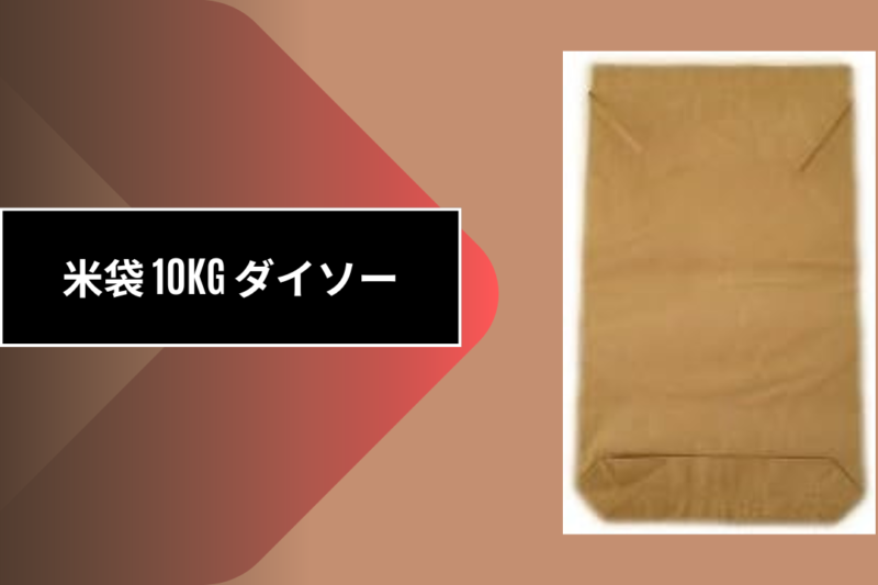 米袋 10kg ダイソー