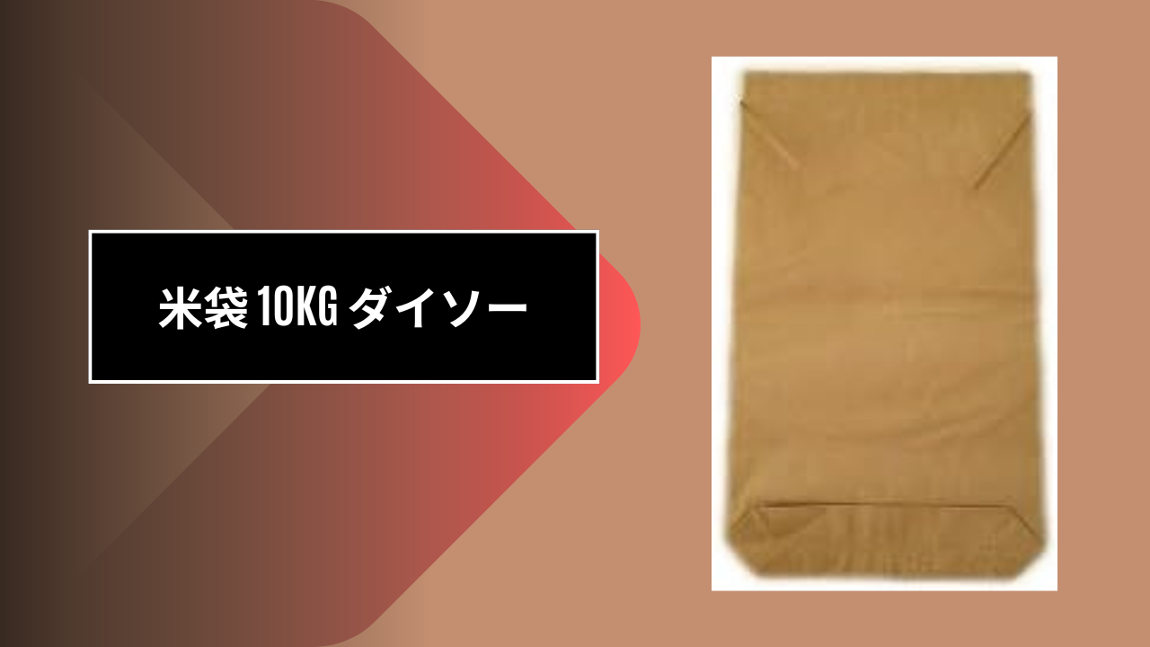 米袋 10kg ダイソー